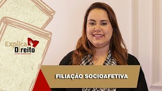 Explica Direito Filiação Socioafetiva  2019 [upl. by Owen]