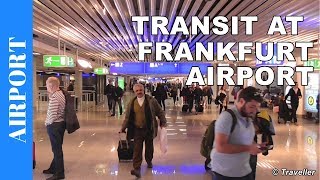 TRANSIT WALK AT FRANKFURT Airport FRA Terminal 1  Connection Flight Transfer Arriving amp Departing [upl. by Lled]